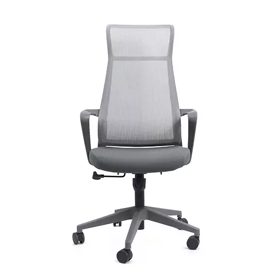 Silla Directiva ERGO BECCHIA