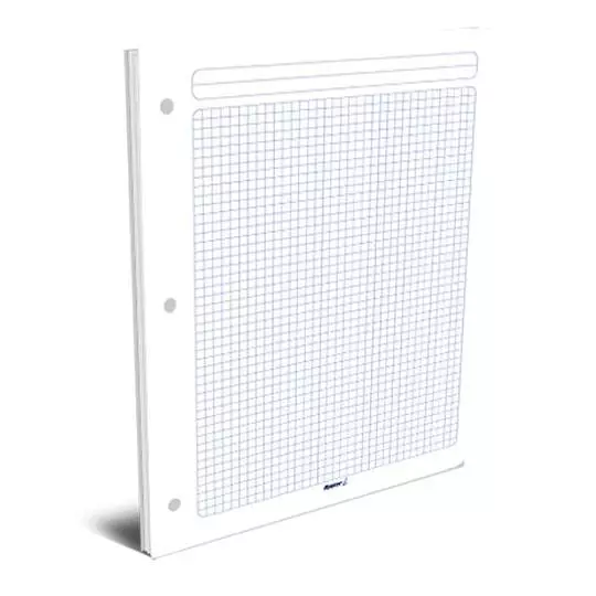 Hojas de repuesto para carpeta Rayter, cuadro 5mm, tamaño carta, 100 hojas