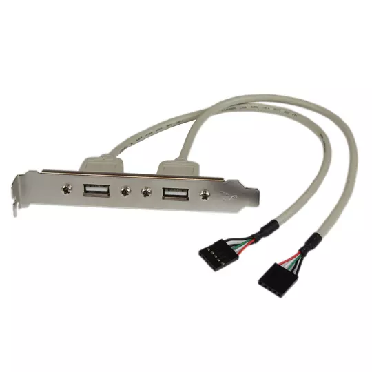 Adaptador Startech placa USB a hembra 2 puerto