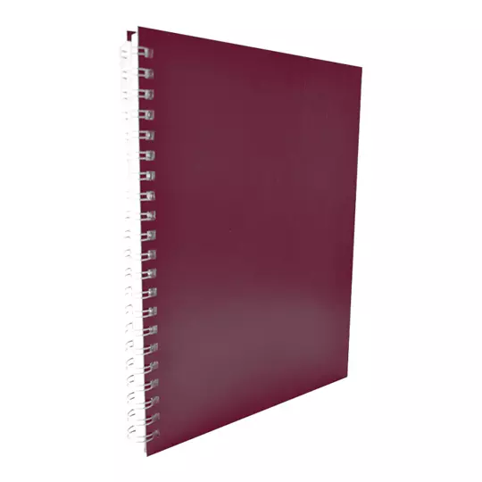 Cuaderno Dietrix profesional 100 hojas 75 gramos raya nutria