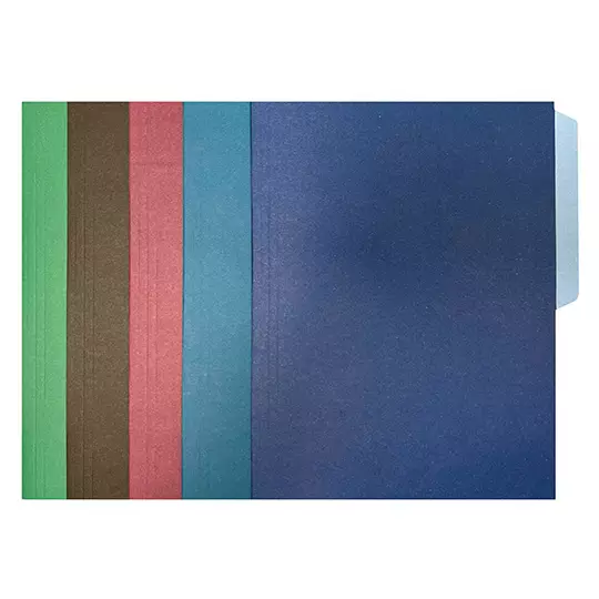 Folder de color Pendaflex carta color surtido ejecutivo ceja 1/2 caja 50 pzas
