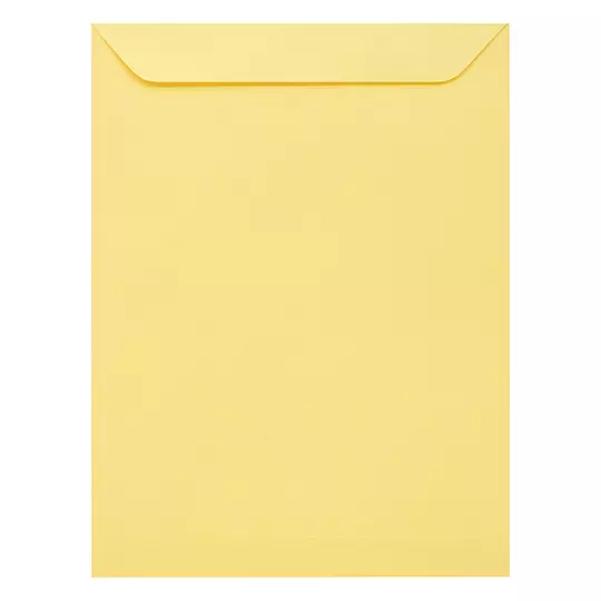 Sobre manila engomado Fortec carta caja con 50 piezas