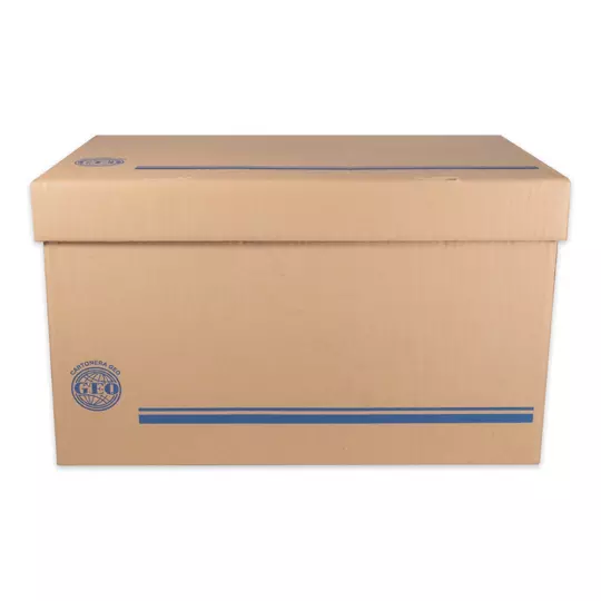 Caja de archivo GEO kraft para registrador carta