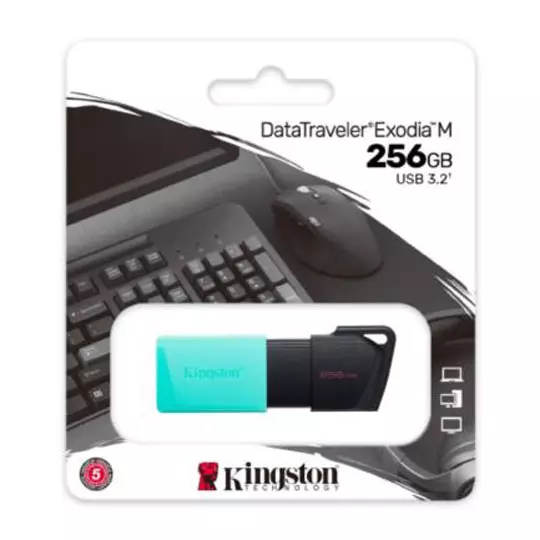 Memoria Flash Kingston 256GB USB 3.2 Gen1 Exodia M