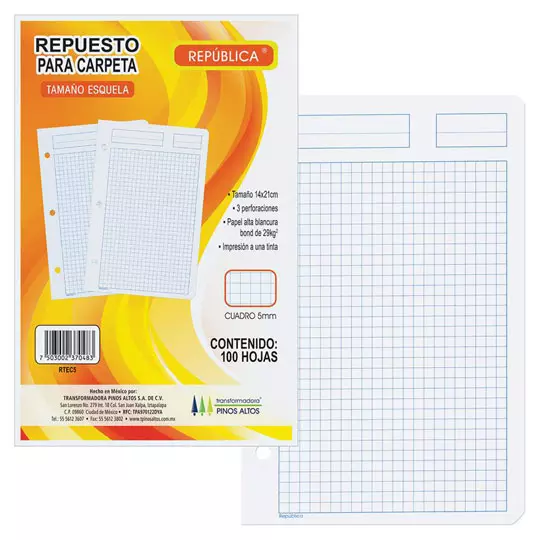 Repuesto para carpeta Pinos Altos car cuadro chico paquete con 100 hojas