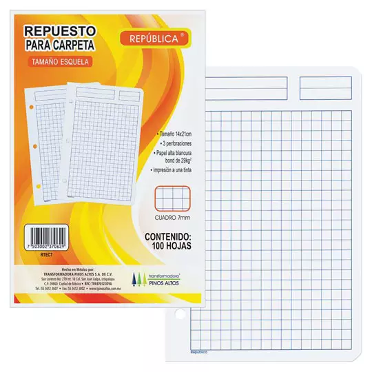 Repuesto para carpeta Pinos Altos car cuadro grande paquete con 100 hojas