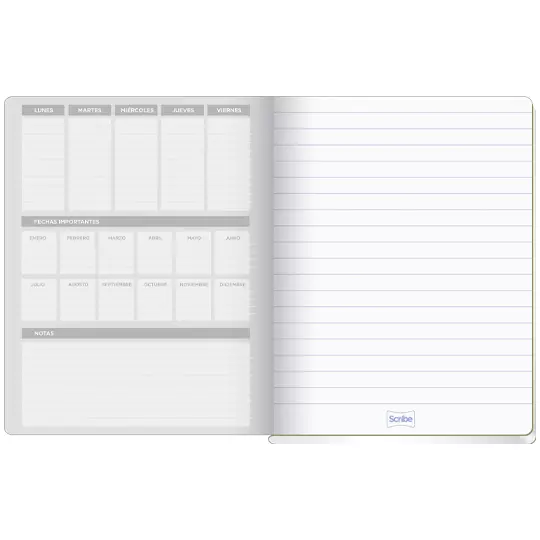 Cuaderno colegial SCRIBE Clásico cosido raya con 100 hojas