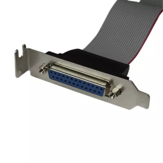 Adaptador Startech 40cm. 
