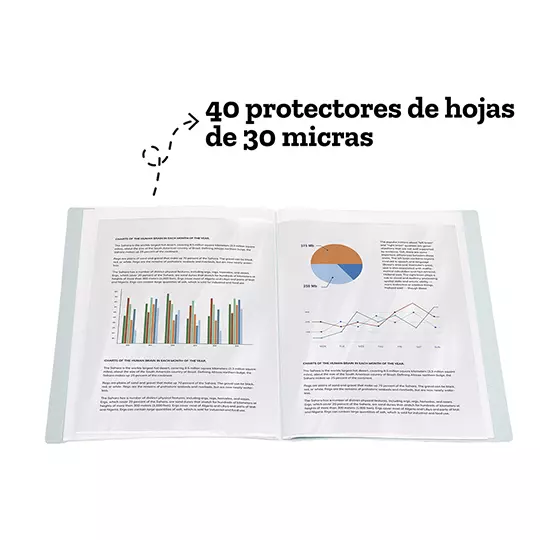 Fólder Ecológico BARRILITO con 40 protectores protectores de hoja