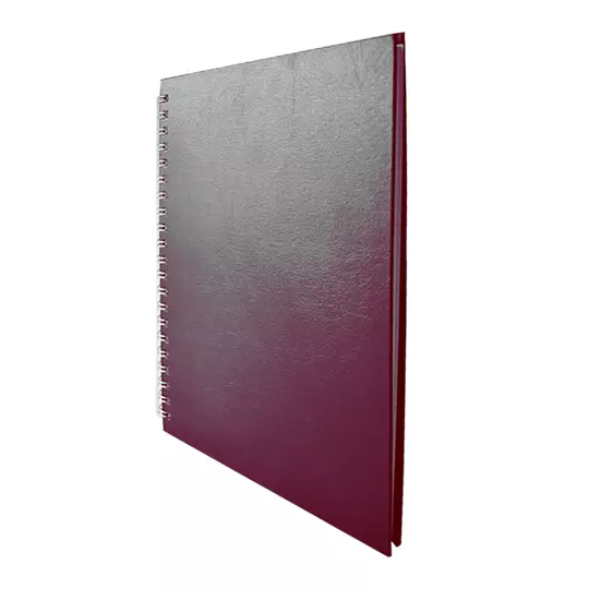 Cuaderno Dietrix profesional 100 hojas 75 gramos raya nutria