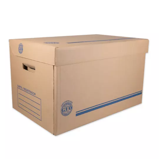Caja de archivo GEO kraft para registrador carta